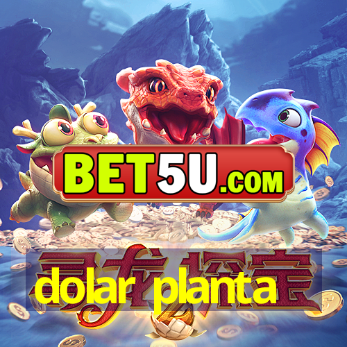 dolar planta